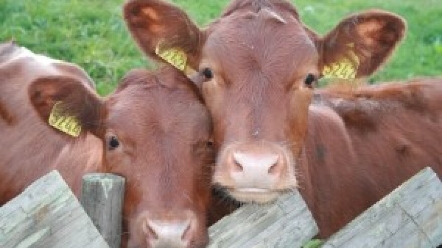 Najveći poljoprivredni prevarant