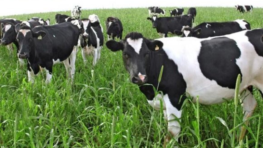 I liječnici u popularizaciji dobre poljoprivredne prakse