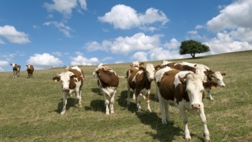 Izgledi za Hrvatsku za 07.11.2014-09.11.2014