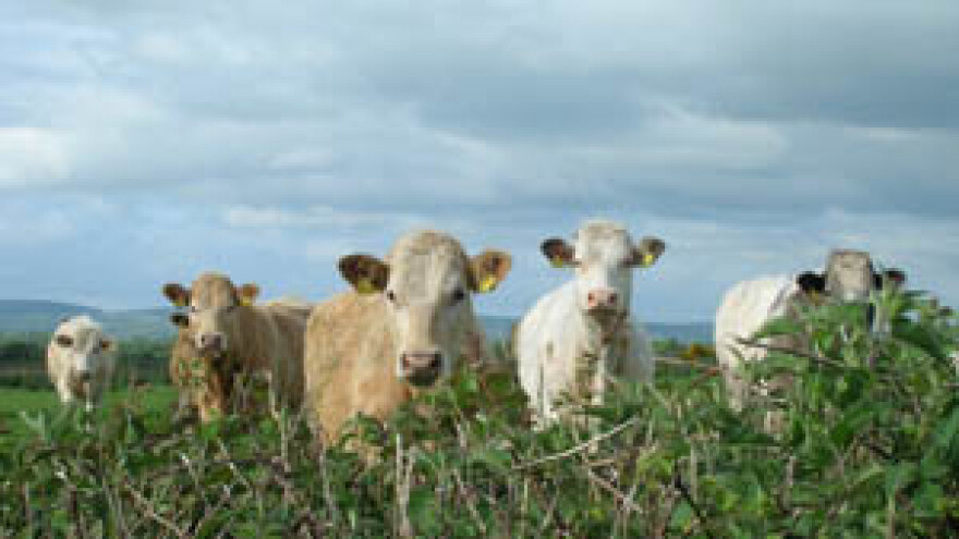 Za farme do 675 tisuća eura