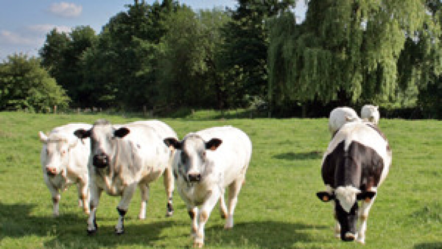 Osječka mljekara Meggle na proljetnom sajmu