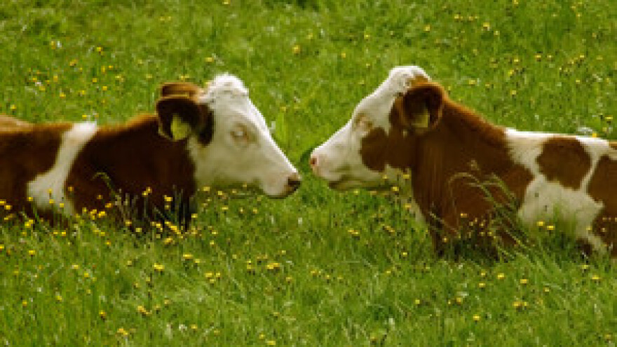 Osječko-baranjska županija tražit će besplatnu legalizaciju farmi