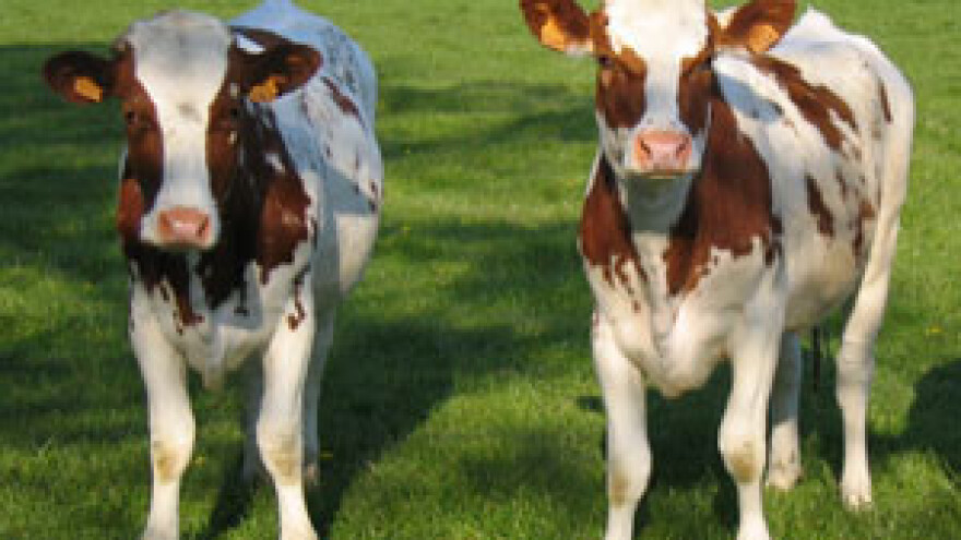 Ogorčeni stočar ostaje bez poticaja