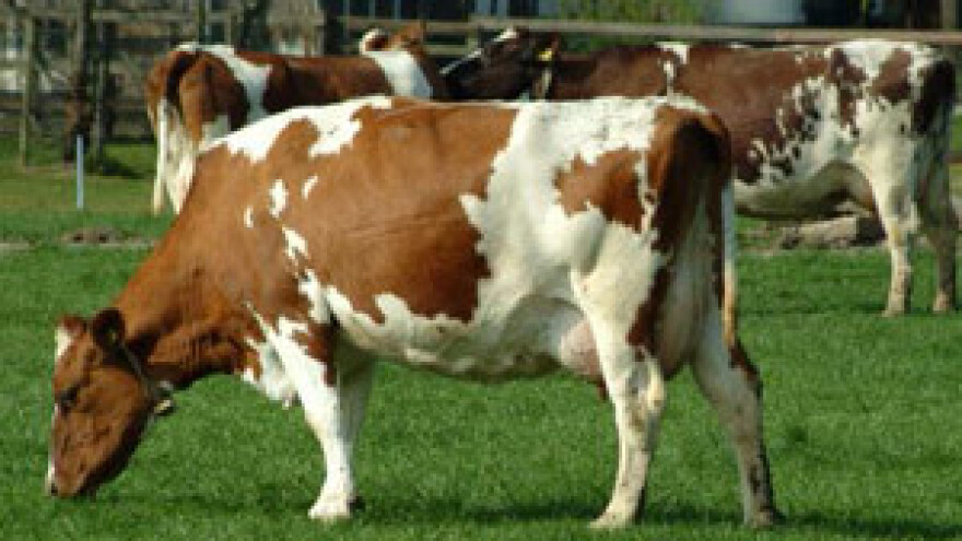 Zatvoren poziv za korištenje sredstava Investicijskog fonda APCP!