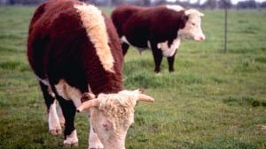 250.000 kn za odlagalište stajskog gnojiva