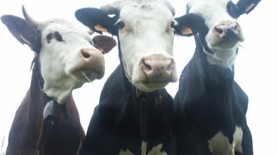 Pad otkupa i prodaje poljoprivrednih proizvoda