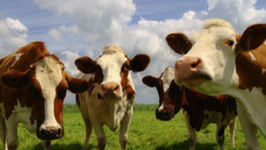 Kontrola ispravnosti muznih uređaja