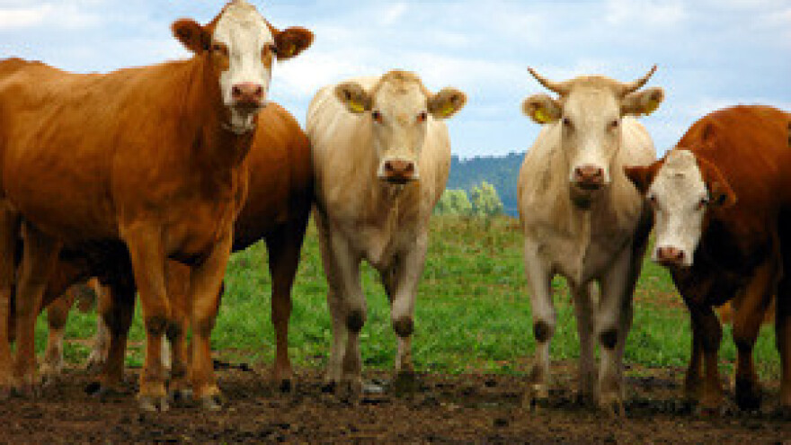 Nezadovoljstvo raspodjelom državnog zemljišta