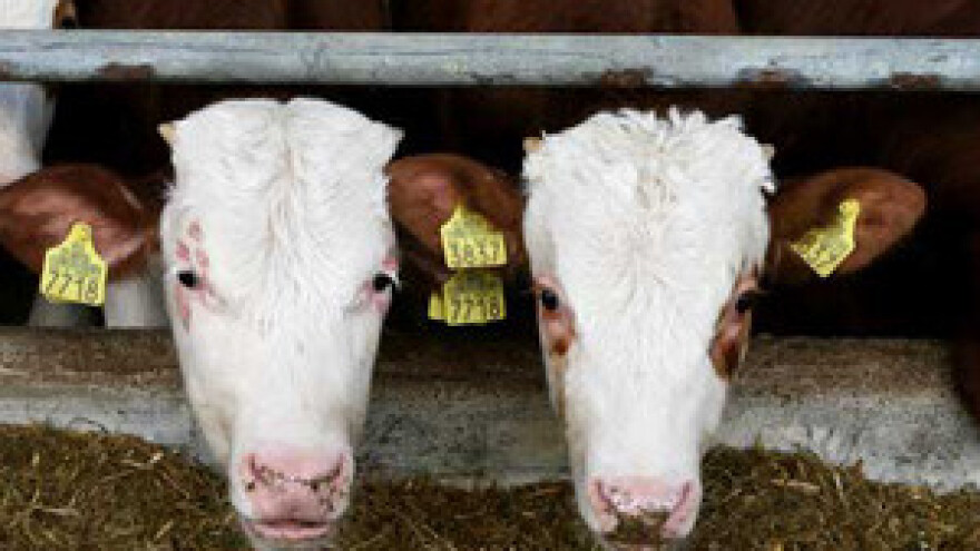 Visoki troškovi legalizacije farmi