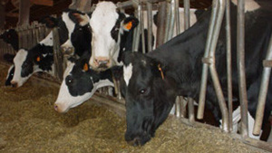 Za legalizaciju i najmanje farme 20.000 kuna