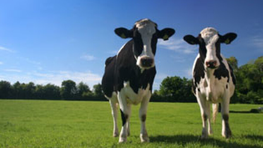 Zbog birokratskih zapreka poljoprivrednici ostaju bez potpora