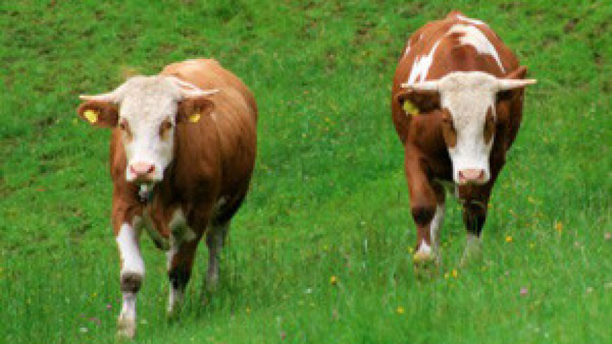 Borba velikih i malih za poljoprivredno zemljište