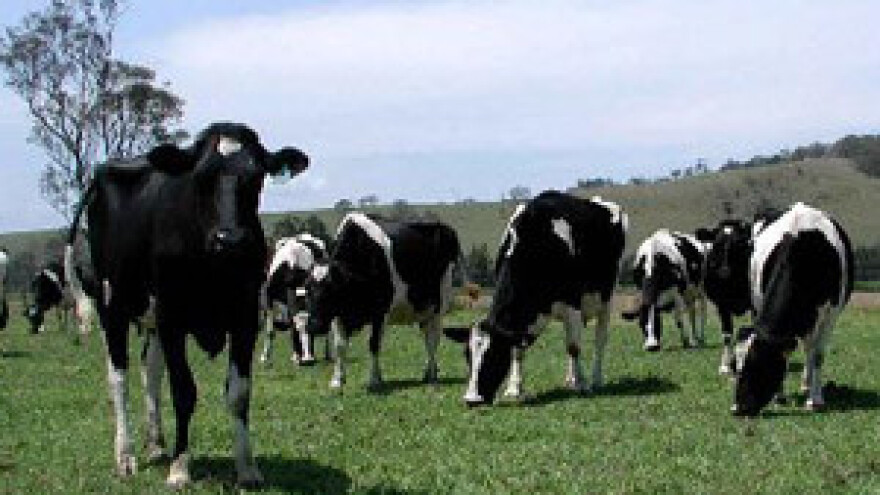 Klimatske promjene i njihov utjecaj na poljoprivredu