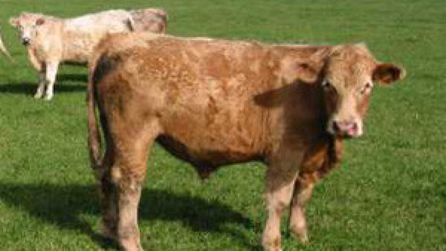 Čobanković dužan poljoprivrednicima 736 milijuna kuna za poticaje