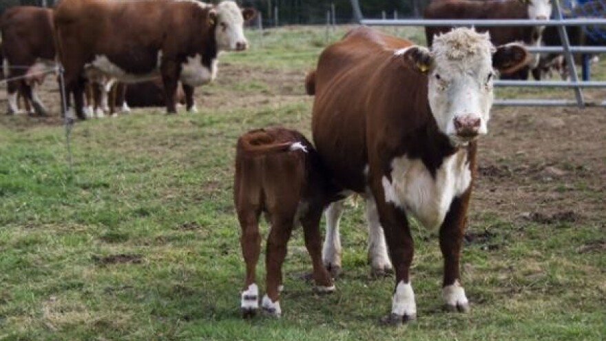 Otvoreno prvo bioplinsko postrojenje