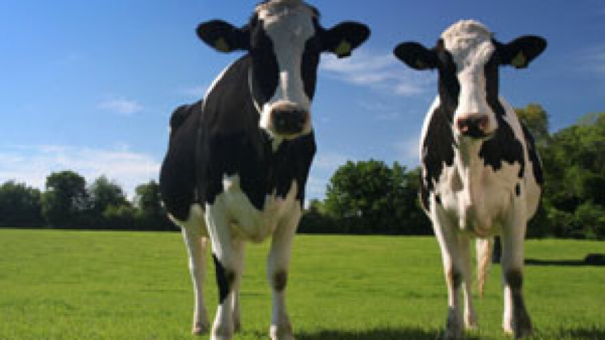 Zaključci Savjeta za praćenje stanja u proizvodnji i preradi mlijeka