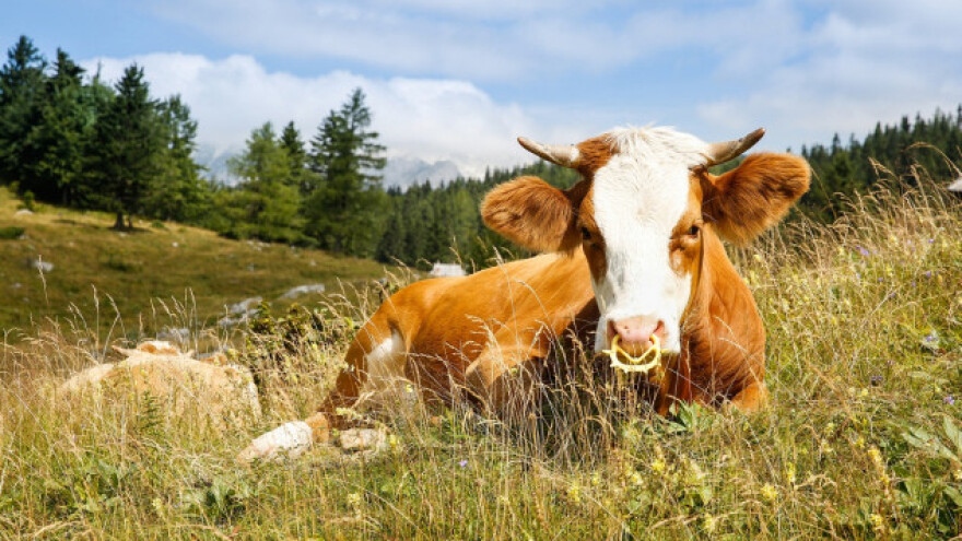 Metovnice  mesto za pristojan život