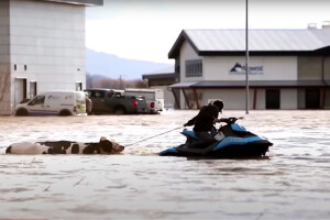 Poplave u Kanadi usmrtile tisuće životinja, preživjele ostale bez hrane i vode