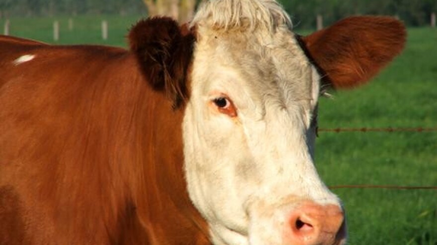 Josipović: Poljoprivreda opterećena nizom problema