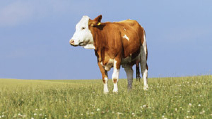 Hrvati i Rumunji idu najradije u farmere