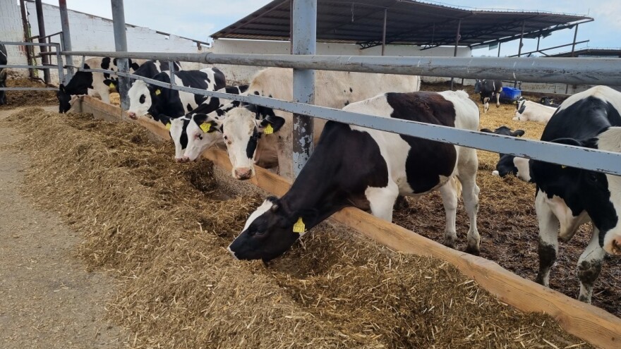 Zaustavimo toplinski stres: Kampanja i edukativni videozapisi za proizvođače mlijeka