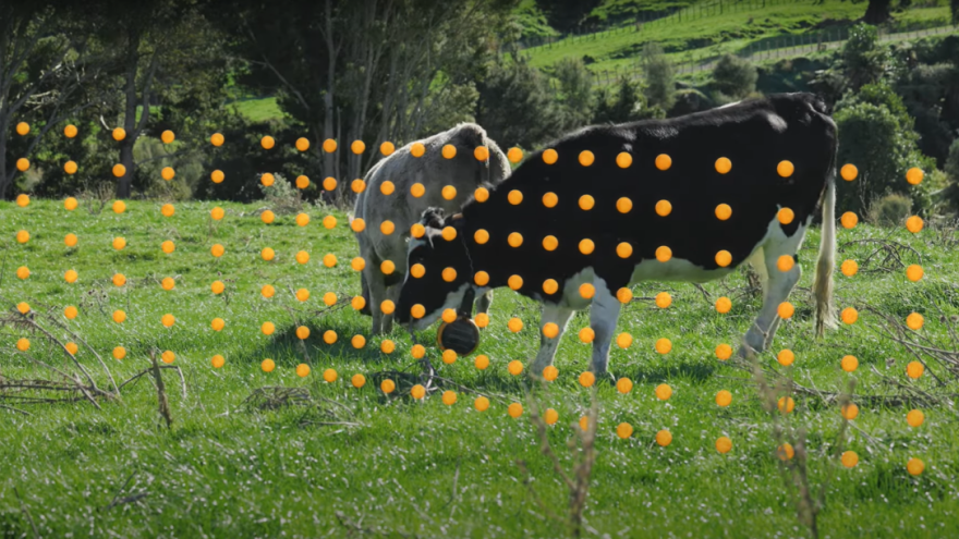 Nevidljiva ograda čuvaće krave na pašnjacima?