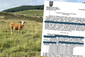 Krški pašnjaci: Uz onu Visokog upravnog suda, stočarima stižu i presude s općinskih sudova