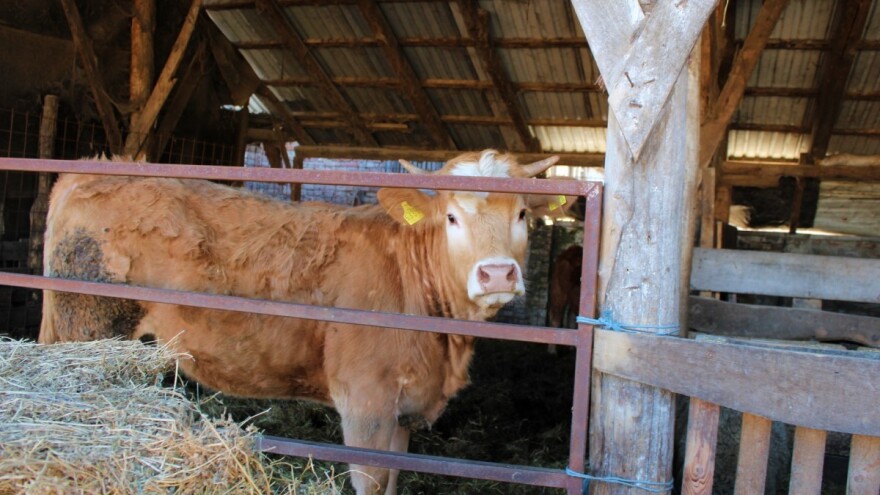 Objavljen poziv za dodjelu poljoprivrednih dobara, stoke i peradi