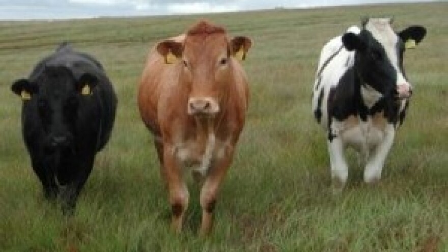 Tribina: "Kako prehraniti Hrvatsku"