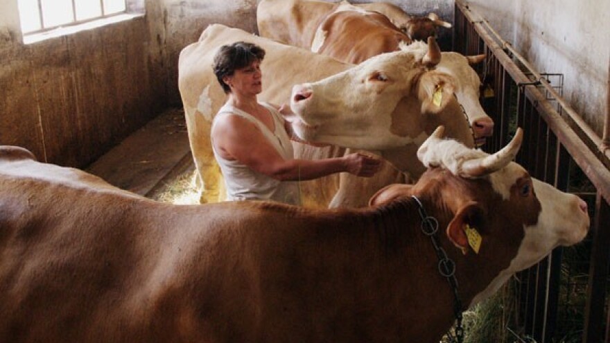 Prosvjedi postali češći od isplate potpora