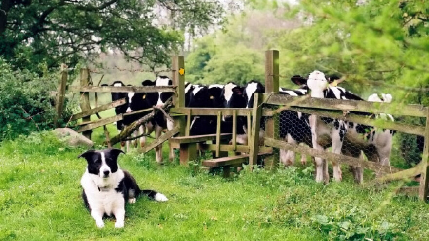Koncentracija metana u vazduhu sve veća