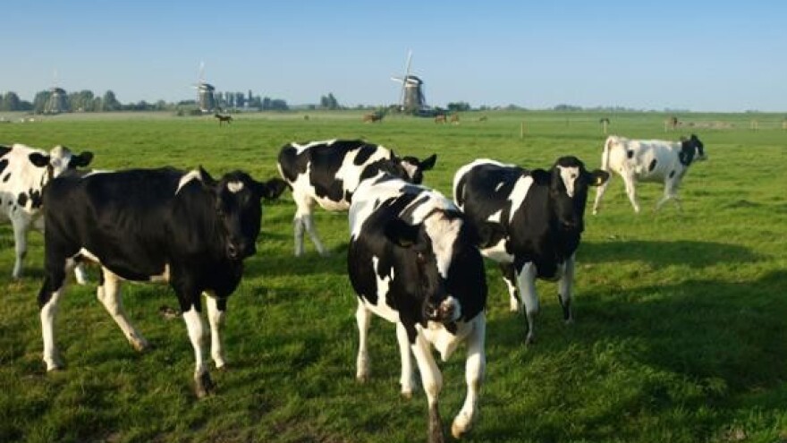 Pankretić: Činimo sve da se otkupi svaka litra mlijeka