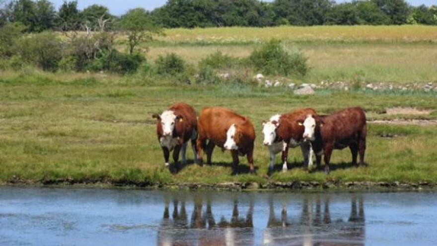 Povećanje potpora po hektaru od 750 kuna