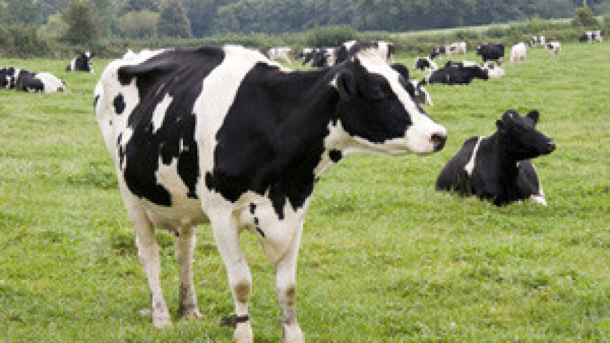 Traže se mjere za spas domaće proizvodnje mlijeka