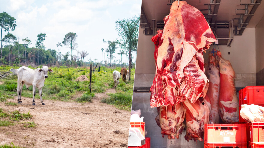 Odobren novi zakon o krčenju šuma - šta to znači za poduzeća, a šta za potrošače?