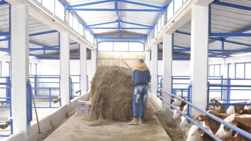 Moderan objekat za tovnu junad