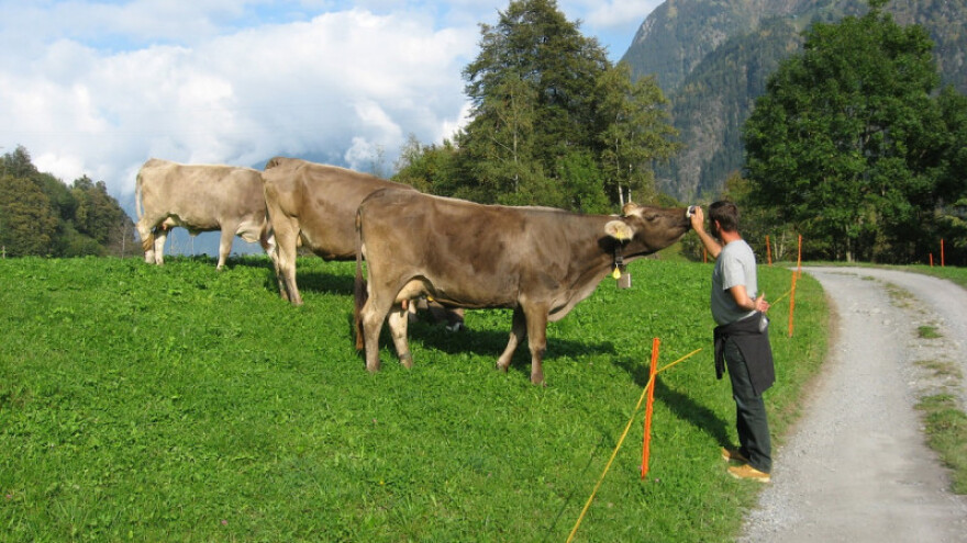 Ubrzati i pojednostaviti kredite za poljoprivrednike