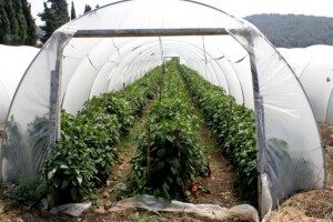 Vlada FBiH ulaže 5,4 miliona KM u razvoj male privrede