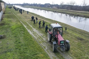 Krenulo godišnje pošumljavanje: Sadnja 200 mladica sibirskog bresta na obalama u Crvenki