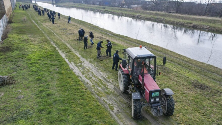 Krenulo godišnje pošumljavanje: Sadnja 200 mladica sibirskog bresta na obalama u Crvenki
