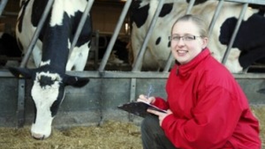 Krave su pod stresom kada ih razdvoje od najbolje prijateljice?