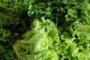Dalmatinska zimska salata