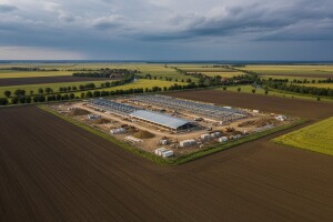 Kritike Vladi zbog dolaska Tenisa