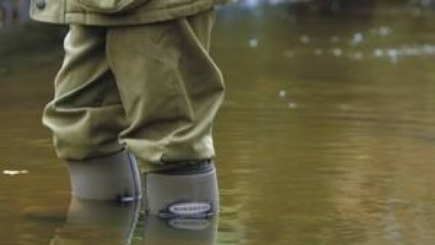 Uvođenje reda na ribolovnim vodama