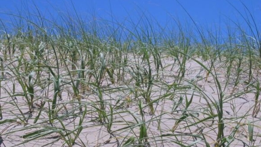 Kriza je šansa za domaće proizvođače