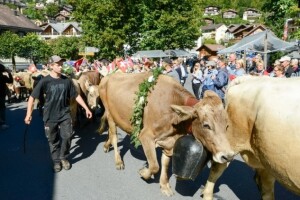 Francuska u poljoprivrednoj krizi!
