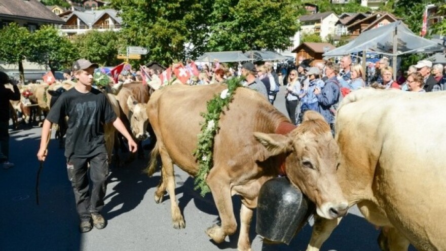 Francuska u poljoprivrednoj krizi!