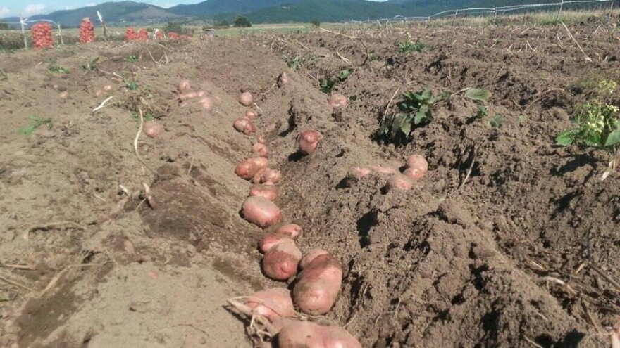 Kriza je gotovo trećinu stanovnika ostavila daleko od domova. Tko će raditi?