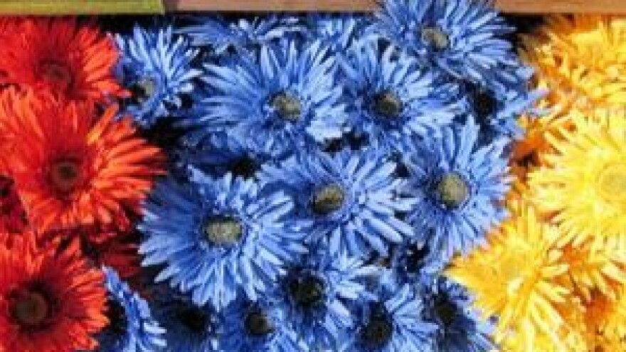 Mjere u zaštiti krizantema