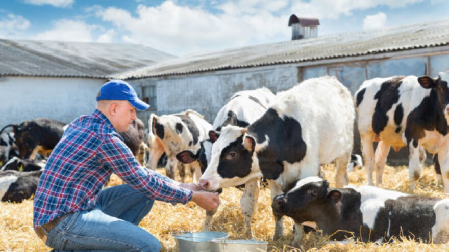 24. međunarodno savjetovanje KRMIVA 2017